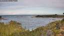 ./images/calvert/foggy-cove/20260924/foggy-cove20260924_093501M.jpg