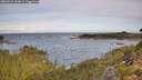 ./images/calvert/foggy-cove/20260924/foggy-cove20260924_094001M.jpg