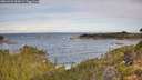 ./images/calvert/foggy-cove/20260924/foggy-cove20260924_094501M.jpg