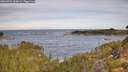 ./images/calvert/foggy-cove/20260924/foggy-cove20260924_100001M.jpg