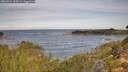 ./images/calvert/foggy-cove/20260924/foggy-cove20260924_100501M.jpg