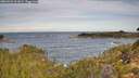 ./images/calvert/foggy-cove/20260924/foggy-cove20260924_101001M.jpg