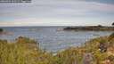 ./images/calvert/foggy-cove/20260924/foggy-cove20260924_101501M.jpg