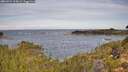./images/calvert/foggy-cove/20260924/foggy-cove20260924_102001M.jpg