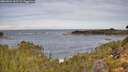 ./images/calvert/foggy-cove/20260924/foggy-cove20260924_102501M.jpg