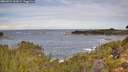 ./images/calvert/foggy-cove/20260924/foggy-cove20260924_103001M.jpg