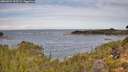 ./images/calvert/foggy-cove/20260924/foggy-cove20260924_103501M.jpg