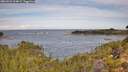 ./images/calvert/foggy-cove/20260924/foggy-cove20260924_104001M.jpg