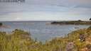 ./images/calvert/foggy-cove/20260924/foggy-cove20260924_105501M.jpg