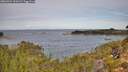 ./images/calvert/foggy-cove/20260924/foggy-cove20260924_110502M.jpg