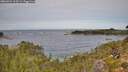 ./images/calvert/foggy-cove/20260924/foggy-cove20260924_113501M.jpg