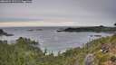 ./images/calvert/foggy-cove/20260924/foggy-cove20260924_172502M.jpg