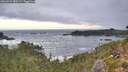 ./images/calvert/foggy-cove/20260925/foggy-cove20260925_080501M.jpg