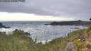 ./images/calvert/foggy-cove/20260925/foggy-cove20260925_081002M.jpg