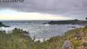 ./images/calvert/foggy-cove/20260925/foggy-cove20260925_081501M.jpg
