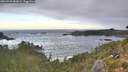 ./images/calvert/foggy-cove/20260925/foggy-cove20260925_082002M.jpg