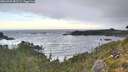 ./images/calvert/foggy-cove/20260925/foggy-cove20260925_082502M.jpg