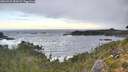 ./images/calvert/foggy-cove/20260925/foggy-cove20260925_083001M.jpg