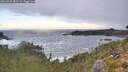 ./images/calvert/foggy-cove/20260925/foggy-cove20260925_083501M.jpg