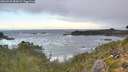 ./images/calvert/foggy-cove/20260925/foggy-cove20260925_084501M.jpg