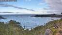 ./images/calvert/foggy-cove/20260925/foggy-cove20260925_094501M.jpg