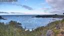 ./images/calvert/foggy-cove/20260925/foggy-cove20260925_095001M.jpg