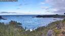 ./images/calvert/foggy-cove/20260925/foggy-cove20260925_095501M.jpg