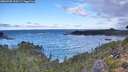 ./images/calvert/foggy-cove/20260925/foggy-cove20260925_100501M.jpg