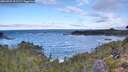 ./images/calvert/foggy-cove/20260925/foggy-cove20260925_101501M.jpg