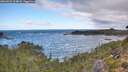 ./images/calvert/foggy-cove/20260925/foggy-cove20260925_104001M.jpg
