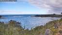 ./images/calvert/foggy-cove/20260925/foggy-cove20260925_104501M.jpg