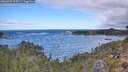 ./images/calvert/foggy-cove/20260925/foggy-cove20260925_105002M.jpg