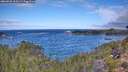 ./images/calvert/foggy-cove/20260925/foggy-cove20260925_105501M.jpg