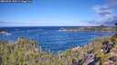 ./images/calvert/foggy-cove/20260925/foggy-cove20260925_110501M.jpg
