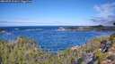 ./images/calvert/foggy-cove/20260925/foggy-cove20260925_111001M.jpg