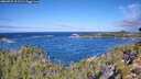 ./images/calvert/foggy-cove/20260925/foggy-cove20260925_111501M.jpg
