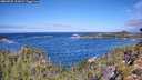 ./images/calvert/foggy-cove/20260925/foggy-cove20260925_112002M.jpg