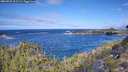 ./images/calvert/foggy-cove/20260925/foggy-cove20260925_112501M.jpg