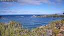 ./images/calvert/foggy-cove/20260925/foggy-cove20260925_113502M.jpg