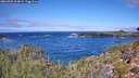 ./images/calvert/foggy-cove/20260925/foggy-cove20260925_114001M.jpg