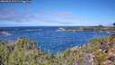 ./images/calvert/foggy-cove/20260925/foggy-cove20260925_115501M.jpg