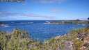 ./images/calvert/foggy-cove/20260925/foggy-cove20260925_120001M.jpg