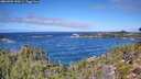 ./images/calvert/foggy-cove/20260925/foggy-cove20260925_120501M.jpg