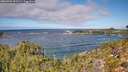 ./images/calvert/foggy-cove/20260925/foggy-cove20260925_121501M.jpg