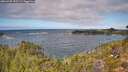 ./images/calvert/foggy-cove/20260925/foggy-cove20260925_122501M.jpg