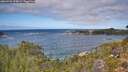 ./images/calvert/foggy-cove/20260925/foggy-cove20260925_123002M.jpg