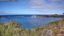 ./images/calvert/foggy-cove/20260925/foggy-cove20260925_123501M.jpg