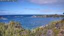 ./images/calvert/foggy-cove/20260925/foggy-cove20260925_124001M.jpg