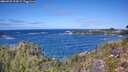 ./images/calvert/foggy-cove/20260925/foggy-cove20260925_124501M.jpg