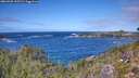 ./images/calvert/foggy-cove/20260925/foggy-cove20260925_125501M.jpg